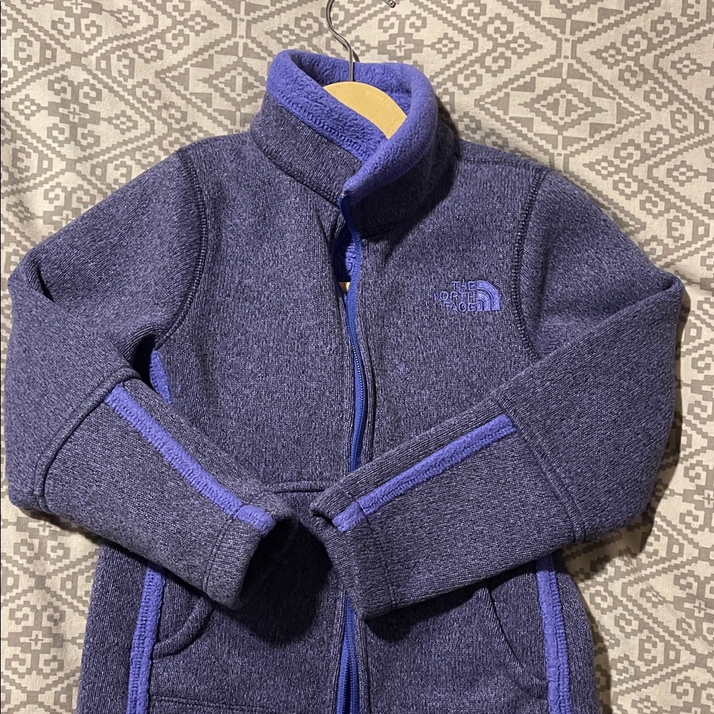 The North Face Purple Fleece Vest